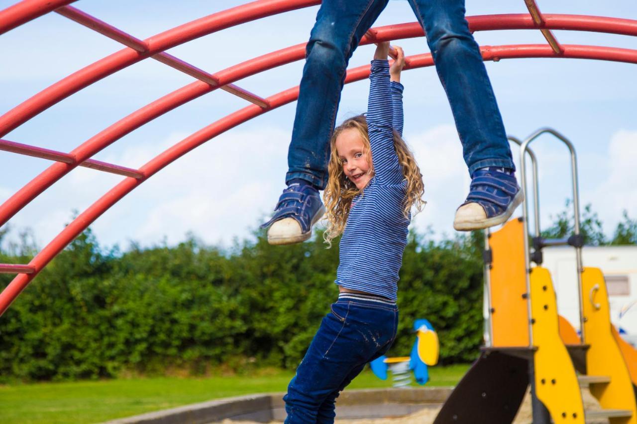 Camping De Duinhoeve Chalet Vogel Not For Companies Nieuw-Haamstede Eksteriør bilde